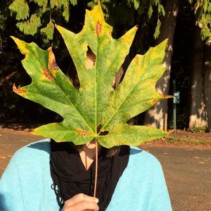 Meet your Posher, Katlynn